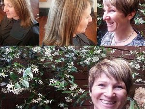hair_cut